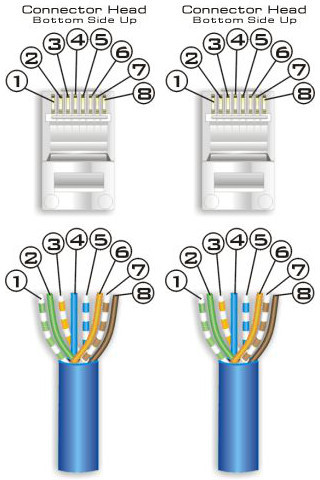 EIA/TIA 568A colour scheme; both ends are the same