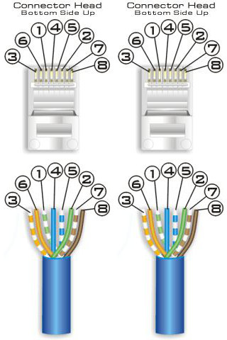 EIA/TIA 568B (AT&T) colour scheme; both ends are the same